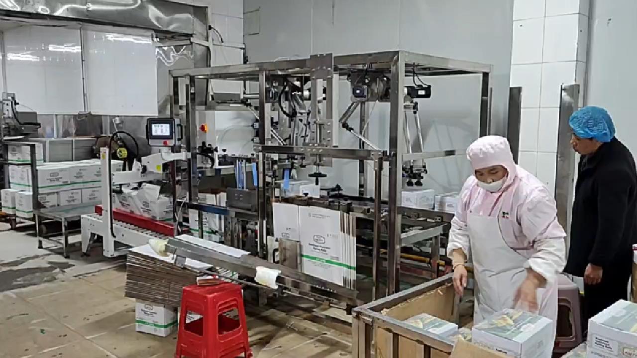 项目案例